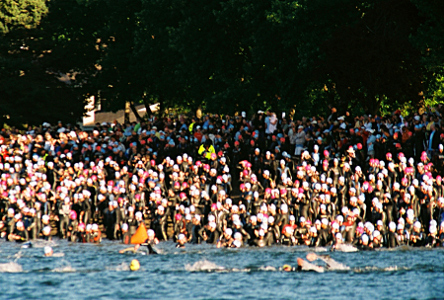 [There is still a line of splashes in the water, but the shoreline with wall-to-wall people in black wetsuits and pink caps stand and watch.]